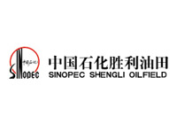 中国石油化工股份有限公司胜利油田分公司